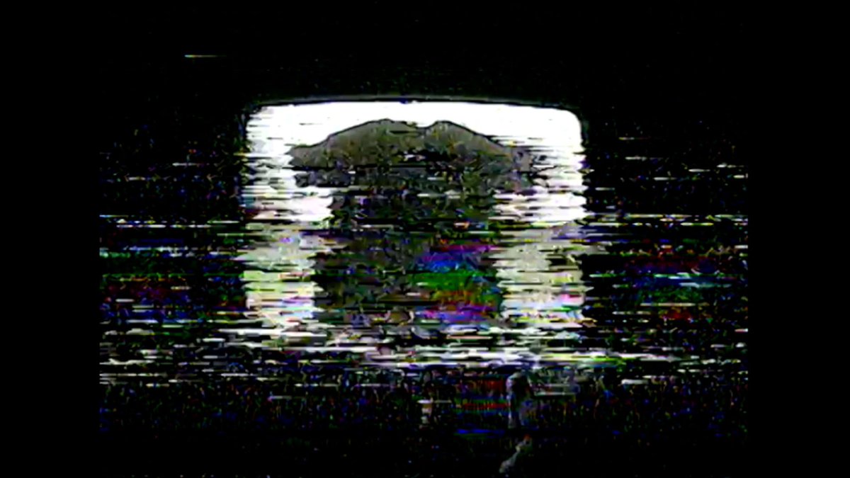 trees tweet media