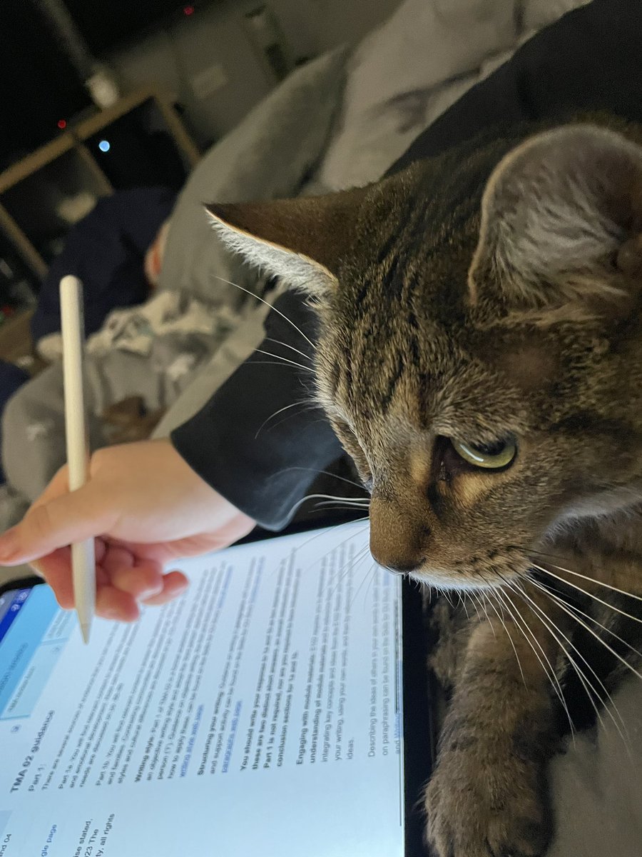 RiRi_OpenUni's tweet image. Is this photo sufficient evidence for getting an extension on my assignment? @OpenUniversity @OU_EdPrimary #CatsOnTwitter #assignmentdeadline #openuni #University #alttextreminder