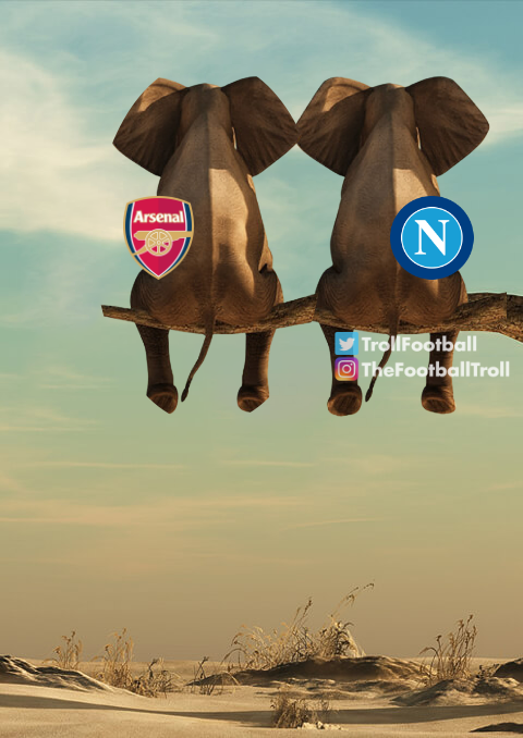 Troll Football tweet media