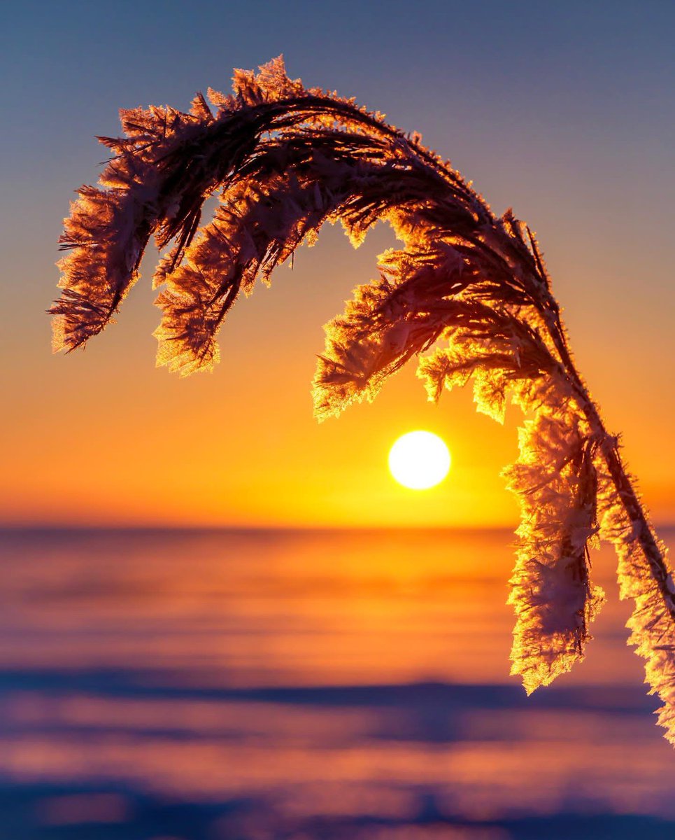 Don't compare yourself to others.
Everyone has a different timeline and unique path.
It's important to focus on your progress rather than trying to measure yourself against others.
#successquotes #successstory #leadership #couplesgoalsmotivation 
#Motivation