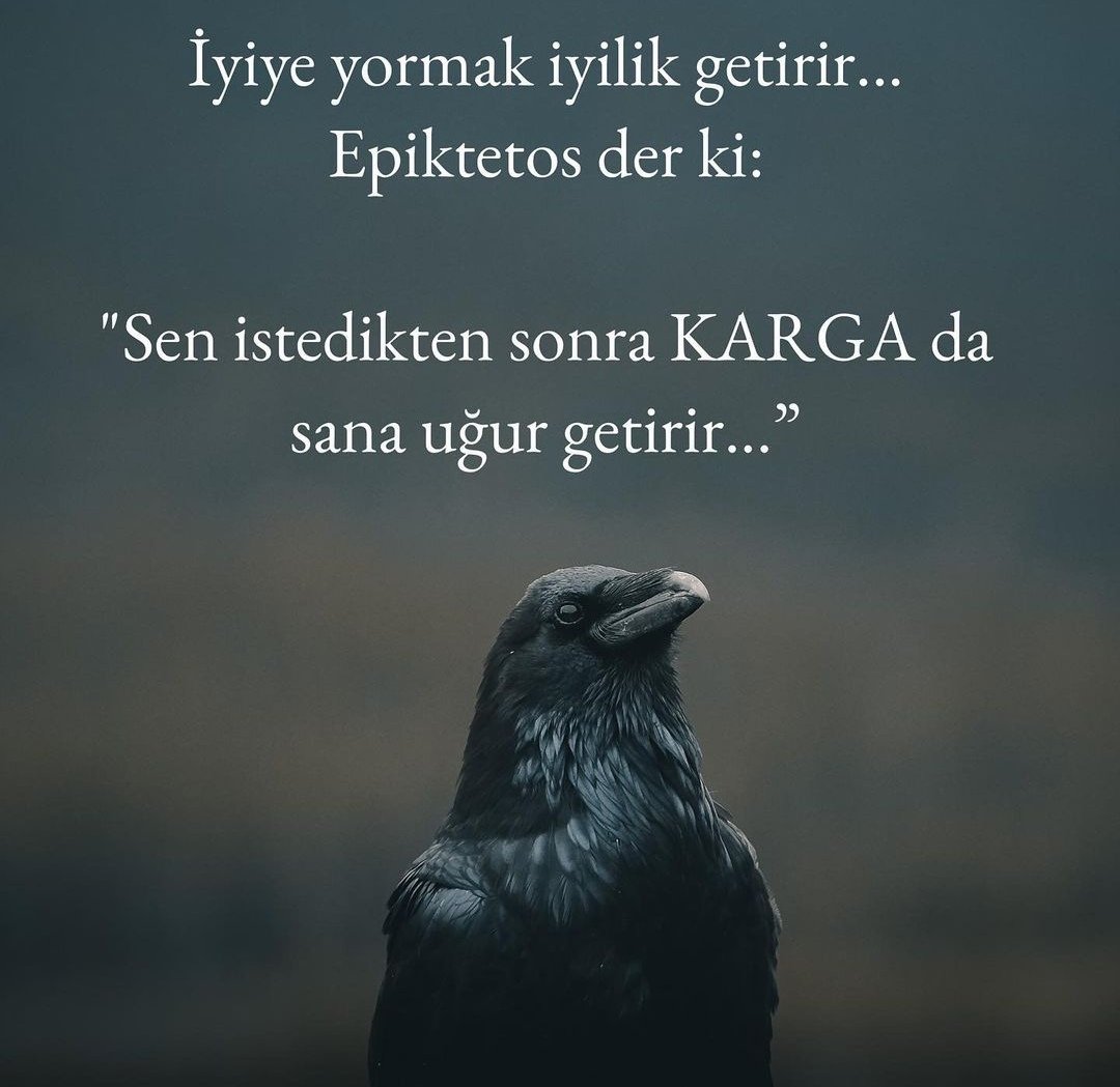 Hayırlı geceler Allaha emanet olun
#GeceyeBirNot
#geceyedairsonsöz