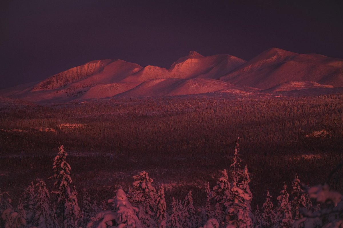 Same location - 3 hours apart 🦅❄️

The arctic light in January are something special and see how much the landscape changes 💫