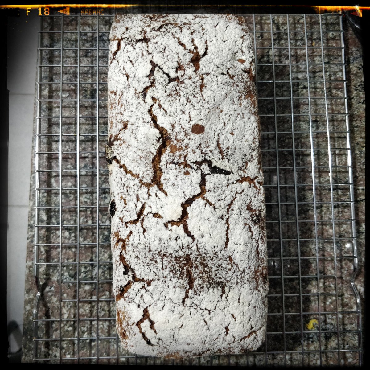 elbaranda's tweet image. Me encanta hacer pan de centeno de masa madre y hoy lo hemos tuneado con una parte de harina integral de avena.
Mañana el interior, que hay que dejarlo descansar 😉.
#yopanarra #pancasero #pandeverdad #panarra #pandecenteno #ryebread #bread #breadhouse