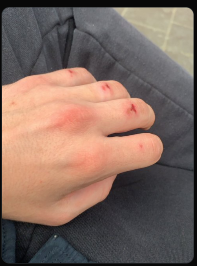 Young Schmalzbursche tweet media