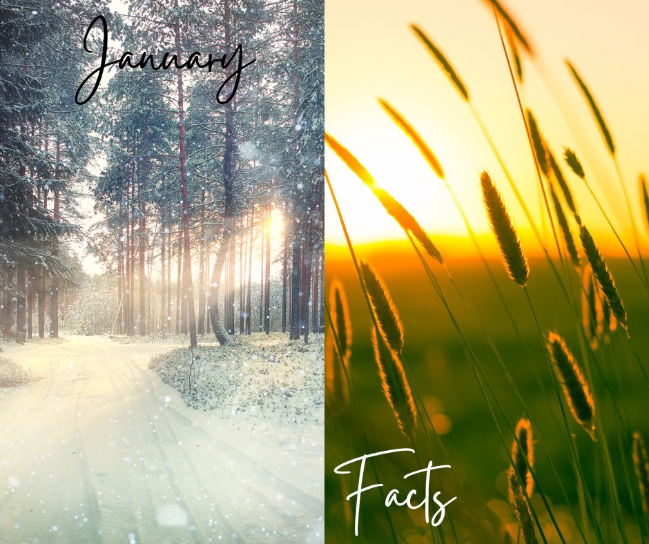 BRCarpet's tweet photo. #JanuaryFacts
January is the second month of winter in the Northern Hemisphere.
The Southern Hemisphere enjoys January as a summer month - about like our July in the Northern Hemisphere. https://t.co/kaFtaAfwFM