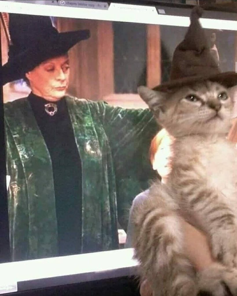 Frikimaestro's tweet photo. Tú iras a Michindor https://t.co/EnLT9SMV8I