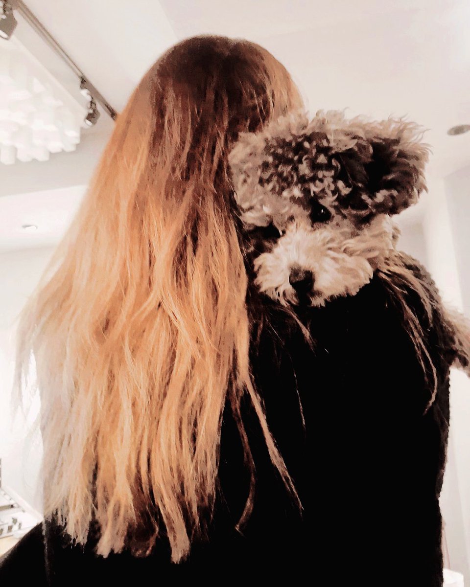 TWTHEIA's tweet image. ❄️ᅠ𝗧𝗛𝗘𝗜𝗔ᅠᩡᅠ𝙣𝙚𝙬ᅠ৲ᅠ𝘂𝗽𝗱𝗮𝘁𝗲ᅠっᅠ #𝗸𝗻𝗼𝗰𝗸𖡫𝒌𝒏𝒐𝒄𝒌 ᅠ⋆ᅠ #𝐓𝐖𝐈𝐍𝐊𝐒_3rd𝗖𝗕𖤣

Por supuesto que con bebé Zero no queríamos perdernos la oportunidad de ver a las bebés hacer su regreso.
¡Felicidades, mis pequeñas! 🖤