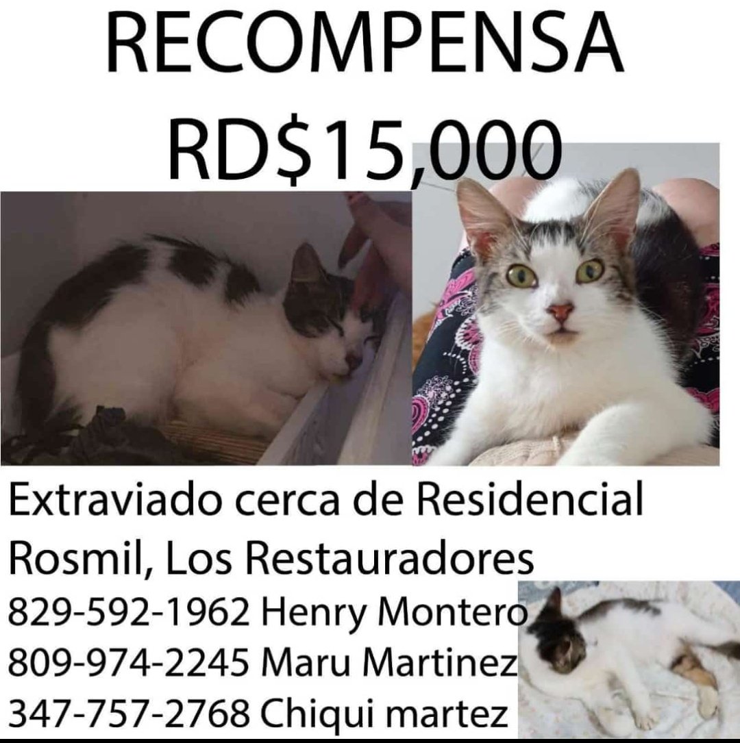 malmape's tweet photo. @DiarioLibre @sergiocarlo @ZOLFM1065 @MariaselaA @AlcaldiaDN @SIN24Horas @12y2 https://t.co/CTepkMvkFi
