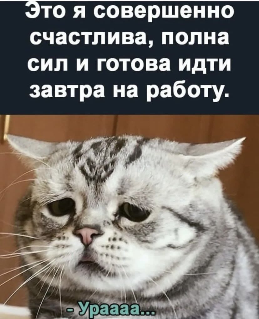 _natali_ok's tweet photo. https://t.co/8zGOVJ5OQh