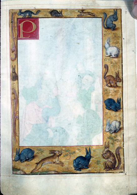 imaprinceton's tweet photo. Happy Lunar New Year and Year of the Rabbit! 🎉 🐇
A new year is like a blank page– the pen is in your hands! An unfinished leaf in a Book of Hours with whimsical critter borders, including rabbits and squirrels. Phot: John Plummer Database of Medieval MSS https://t.co/FTxNBrmr8F https://t.co/q8WxLwyK7C