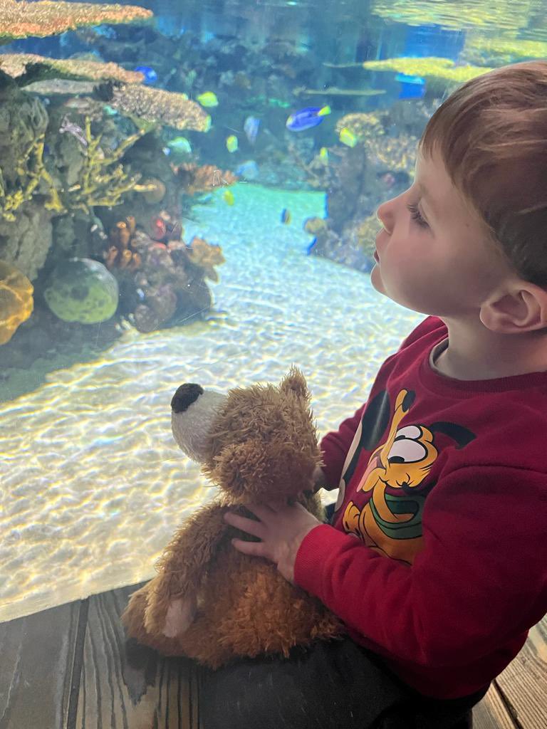 Kerrie (@thebestkez628) on Twitter photo Jack has loved having Barney visit this weekend and has had lots of fun.
From swimming lessons, playtime, sleepovers at grandparents and a road trip to the deep. He will be one missed bear, we hope Barney has fun on his next adventure.
<a href="/MissHarrisonBP/">Miss Harrison</a> <a href="/JulieMaundrill/">julie Maundrill</a> Jack has loved having Barney visit this weekend and has had lots of fun.
From swimming lessons, playtime, sleepovers at grandparents and a road trip to the deep. He will be one missed bear, we hope Barney has fun on his next adventure.
<a href="/MissHarrisonBP/">Miss Harrison</a> <a href="/JulieMaundrill/">julie Maundrill</a>