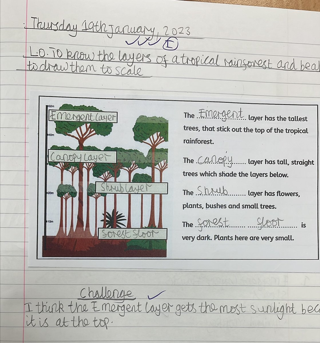 High Hazels Academy Y4 tweet media