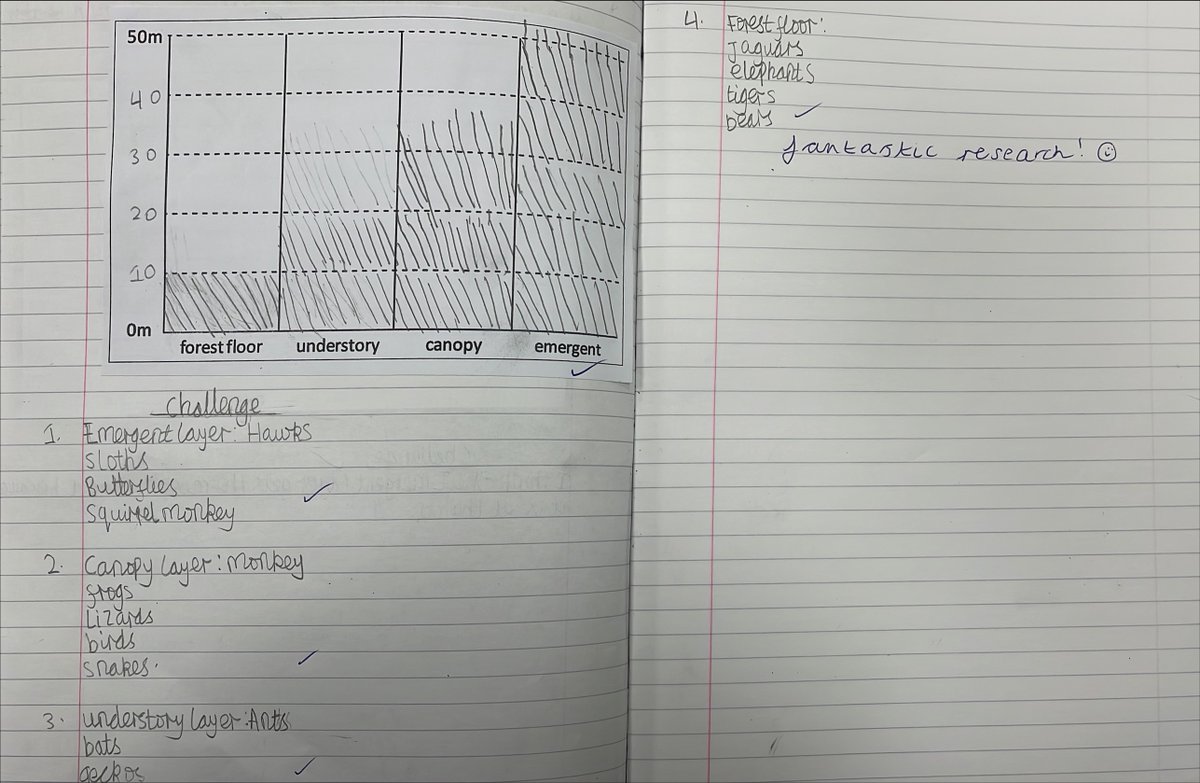 High Hazels Academy Y4 tweet media