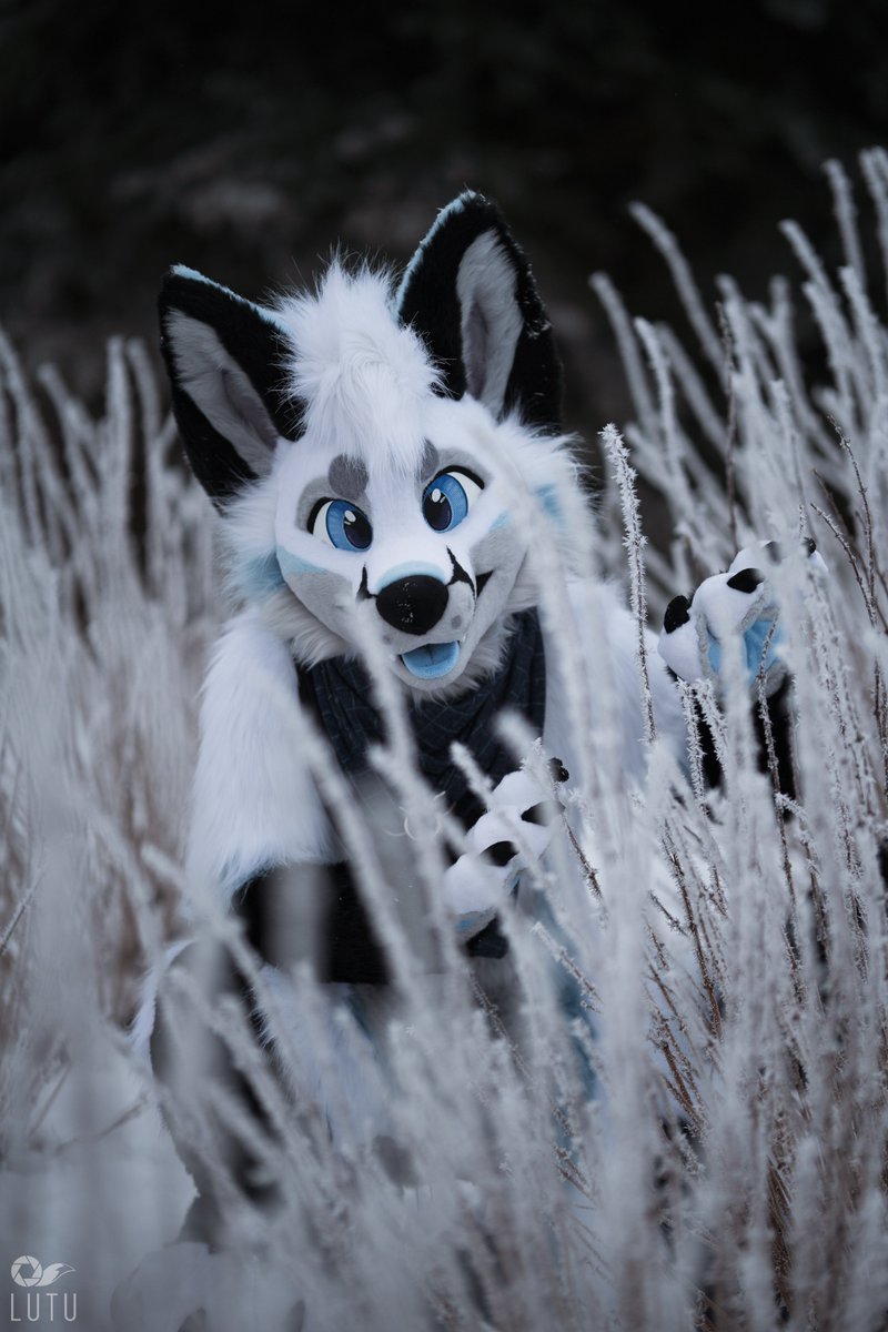 Shhh, careful the trees might tell the White Witch we're here.. We gotta stick together if we want to reach Aslan in time! 🏔️✨ 📸 @Lutufox 🪡 @Zuri_Studios