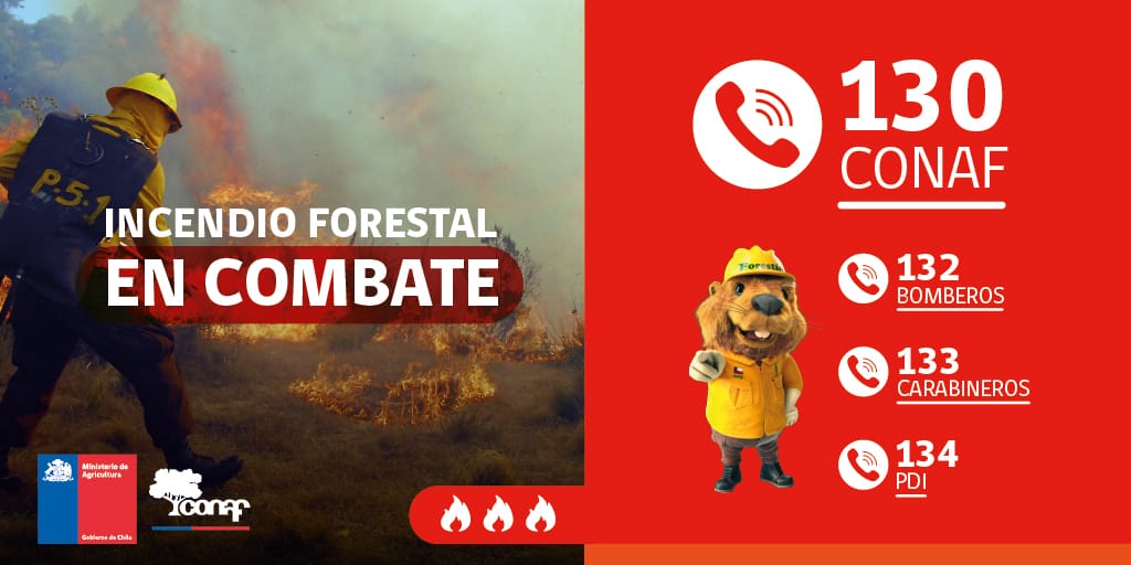 incendios_CONAF's tweet image. EN COMBATE #IFPolulo, #Algué, #Metropolitana
Activo en todos sus sectores con alta intensidad
🔴#AlertaRoja
Superficie preliminar➡️2 hectáreas
Recursos➡️ 1 técnico, 3 brigadas y 3 helicópteros #CONAF