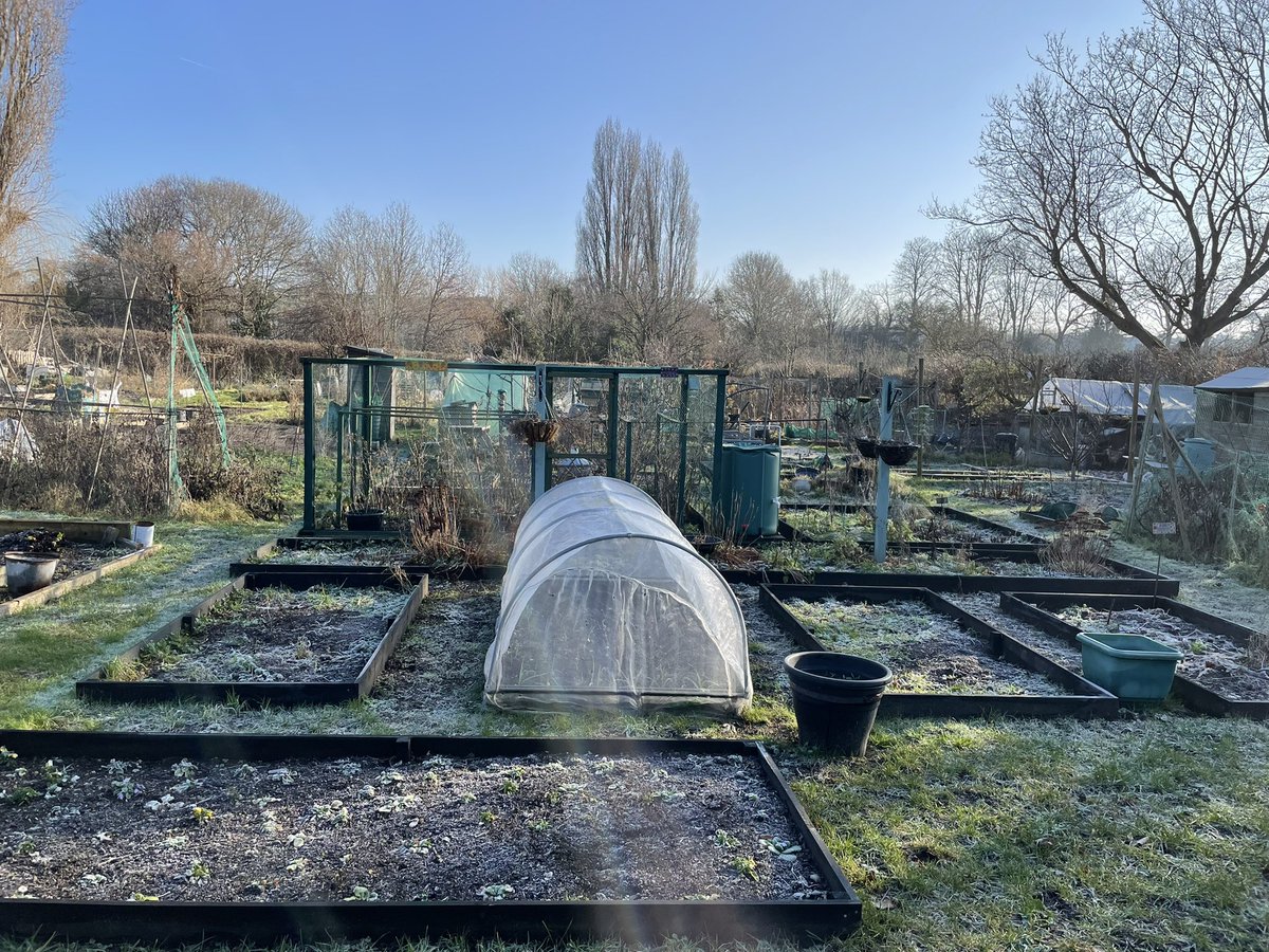 Plot2Pavilion's tweet photo. At #ThePlotThickens cold but bright #allotmentlife #robins #frosty #bluesky https://t.co/JMh1KrglUD