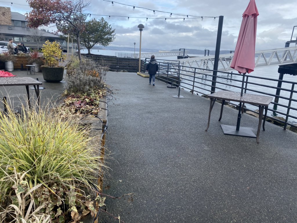 Just a little blue mosaic bun taking in the view..  Better hurry it’s busy down here#monkeyshines2023 #monkeyshine #monkeyshines #monkeyshines2023 #yearoftherabbit #monkeyshinestacoma #glassart #tacomaglassart #glassmosaic