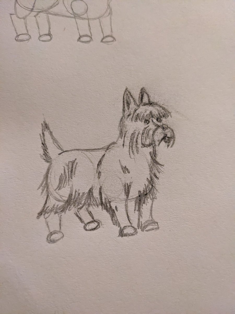 theabibee's tweet photo. I made a NY resolution this year to draw and these are the two lil doggos I drew over the last two days 🐕🐶 https://t.co/uoMCnBC064