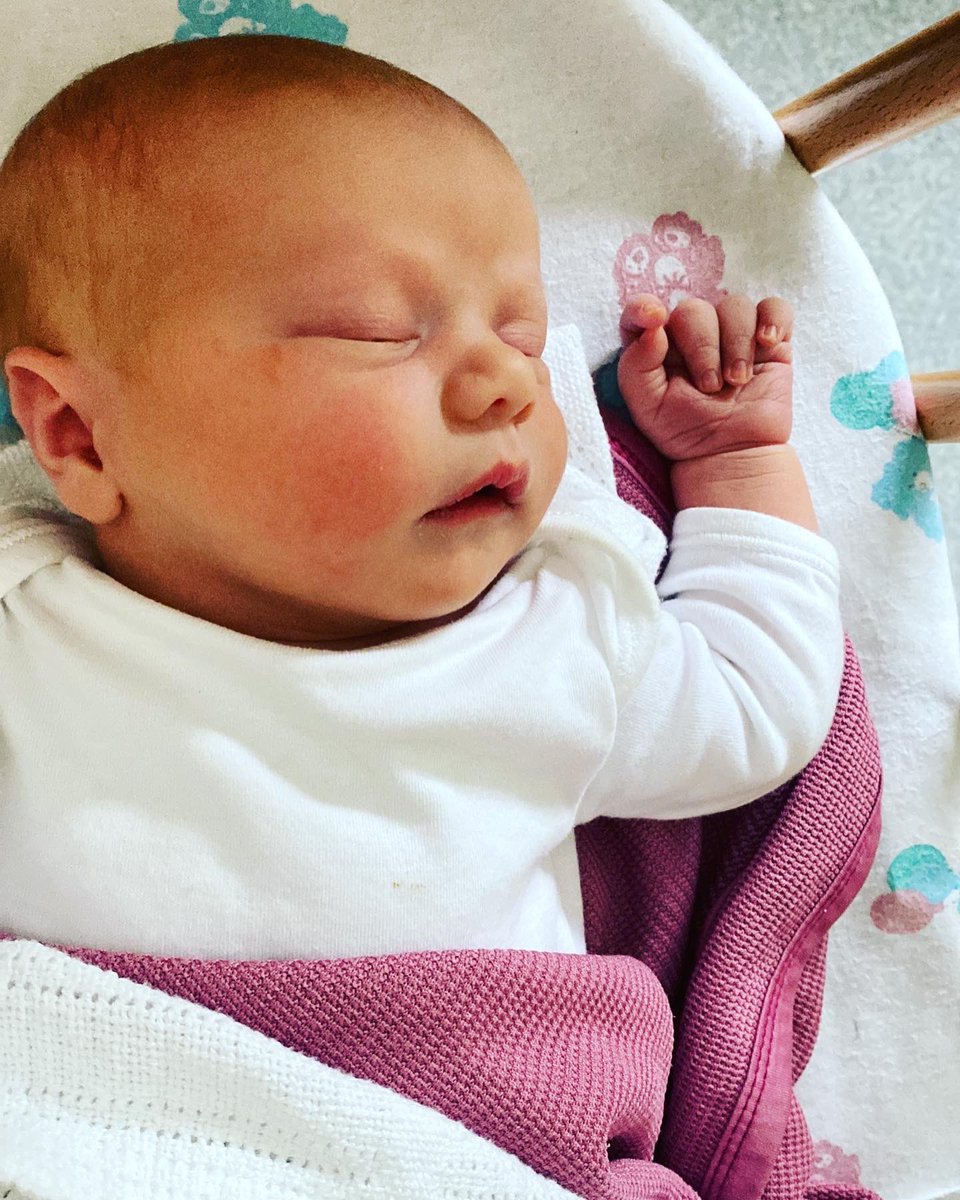 john_mcareavey's tweet photo. Welcome to the gang Lily 💕 Tara you’re amazing https://t.co/kR6ptBYlN1