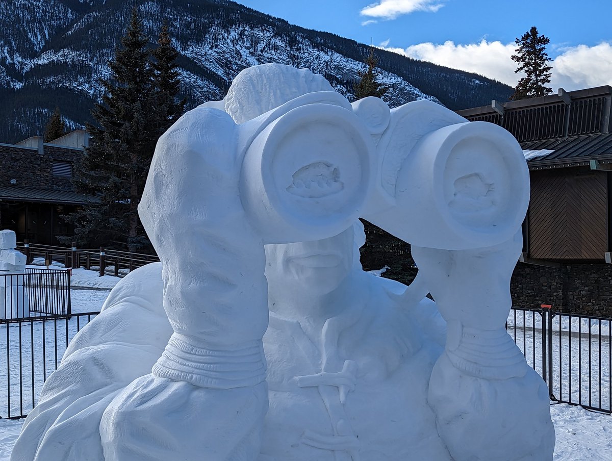 Some fabulous carvings in Banff during Snowdays!! ⛄