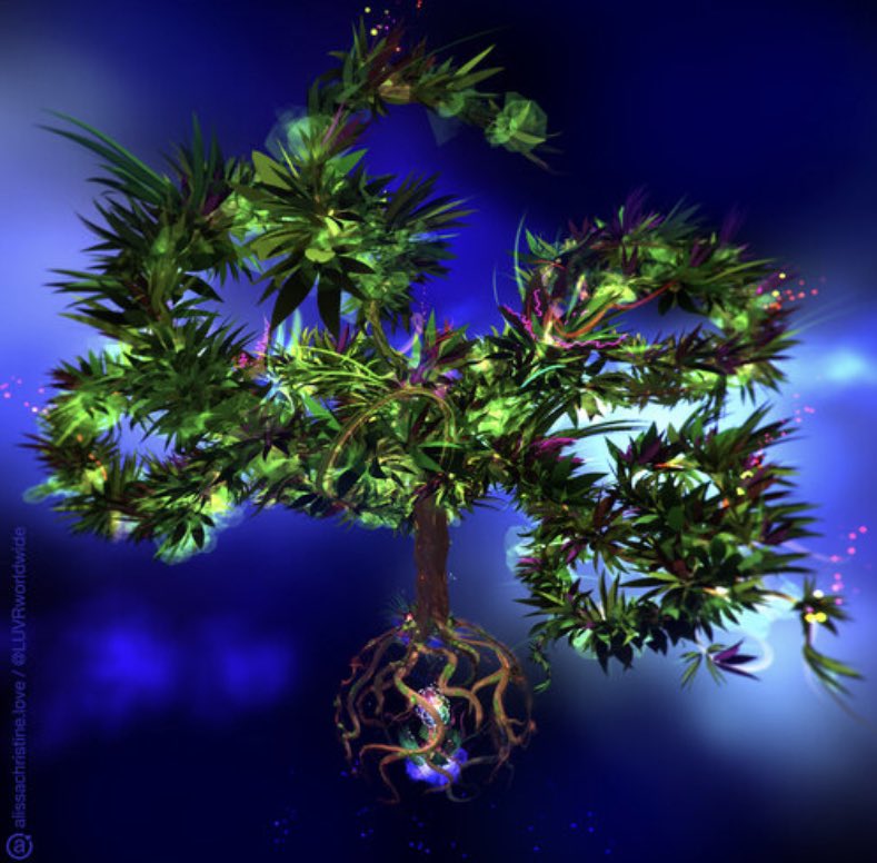 LUVRworldwide's tweet image. #PURVIDA 🦋
Anyone in #CostaRica!?
Lets connect Jan 24-29. 

Grateful to b working on an 
Eco-Initiative 🌏 with #Quepolandia magazine... 
&amp;amp; offering #meditations in the metaverse✨
#treeoflife #CURATIO @hellowoca @FaunaCrypto @stayseaart