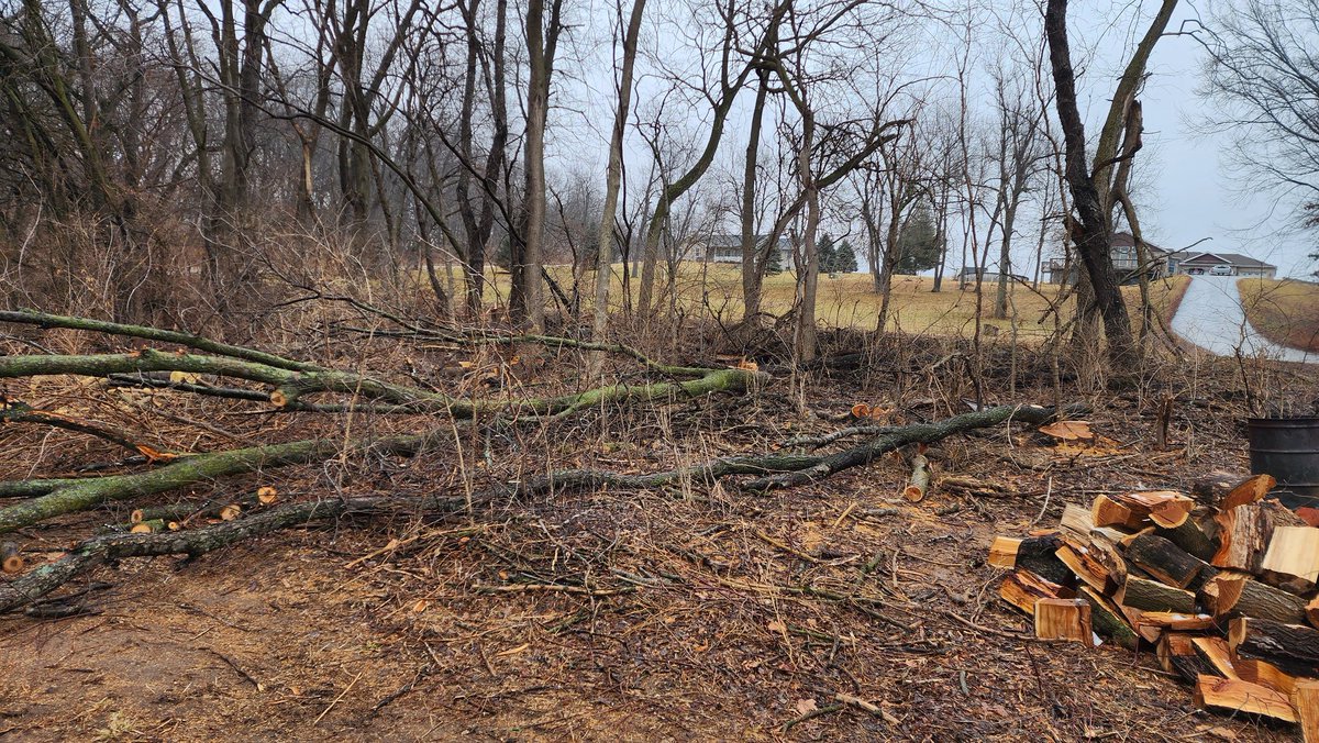 FHolocker's tweet image. While sitting here taking a break I just realized my head problem is gone. Really surprised since the docs said I would have it the rest of my life. I can say it is very peaceful. Maybe I died and my dumb body has not figured it out??? Even if it is short-term, I like it