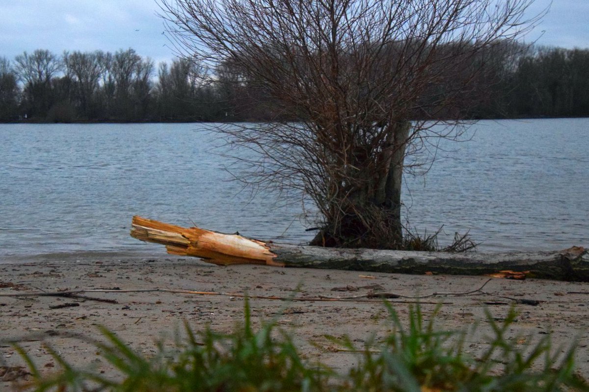 Bleichenblues tweet media