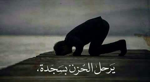 SALMAN سِلَمًآنِ tweet media