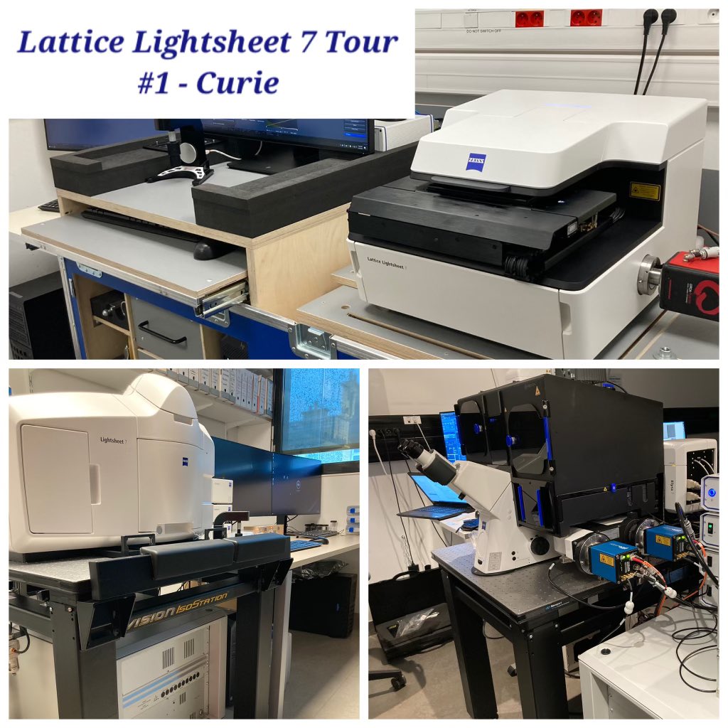 Lattice Lightsheet 7 Tour #1 : nous sommes prêts !
Plus de 30 utilisateurs vont pouvoir tester nos systèmes de microscopie optique 3D Lattice Lightsheet 7, Lightsheet 7 et Elyra 7 à l’Institut Curie du 24 au 27 janvier prochains.
#zeiss
#institutcurie