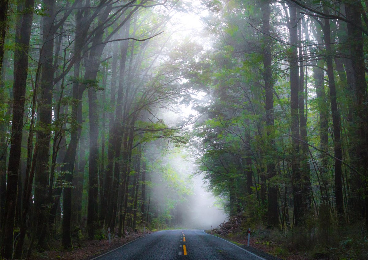 Rach Stewart tweet media