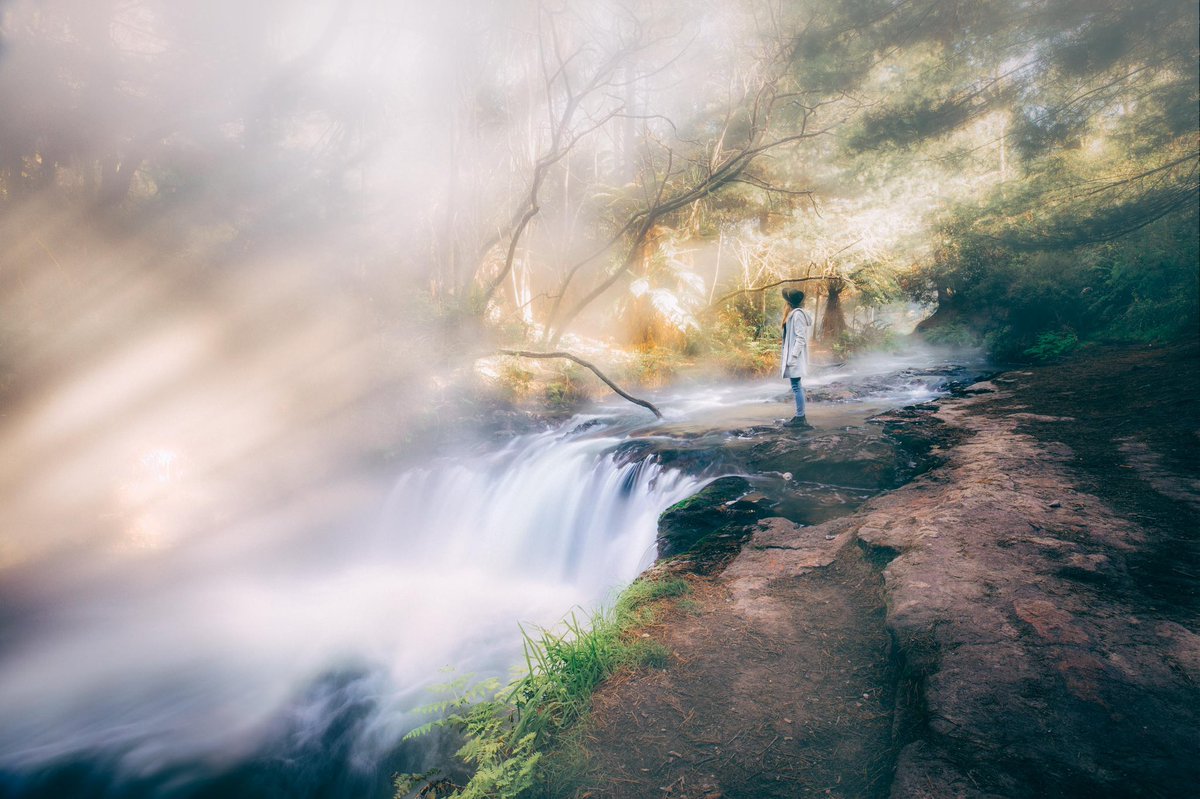 Rach Stewart tweet media