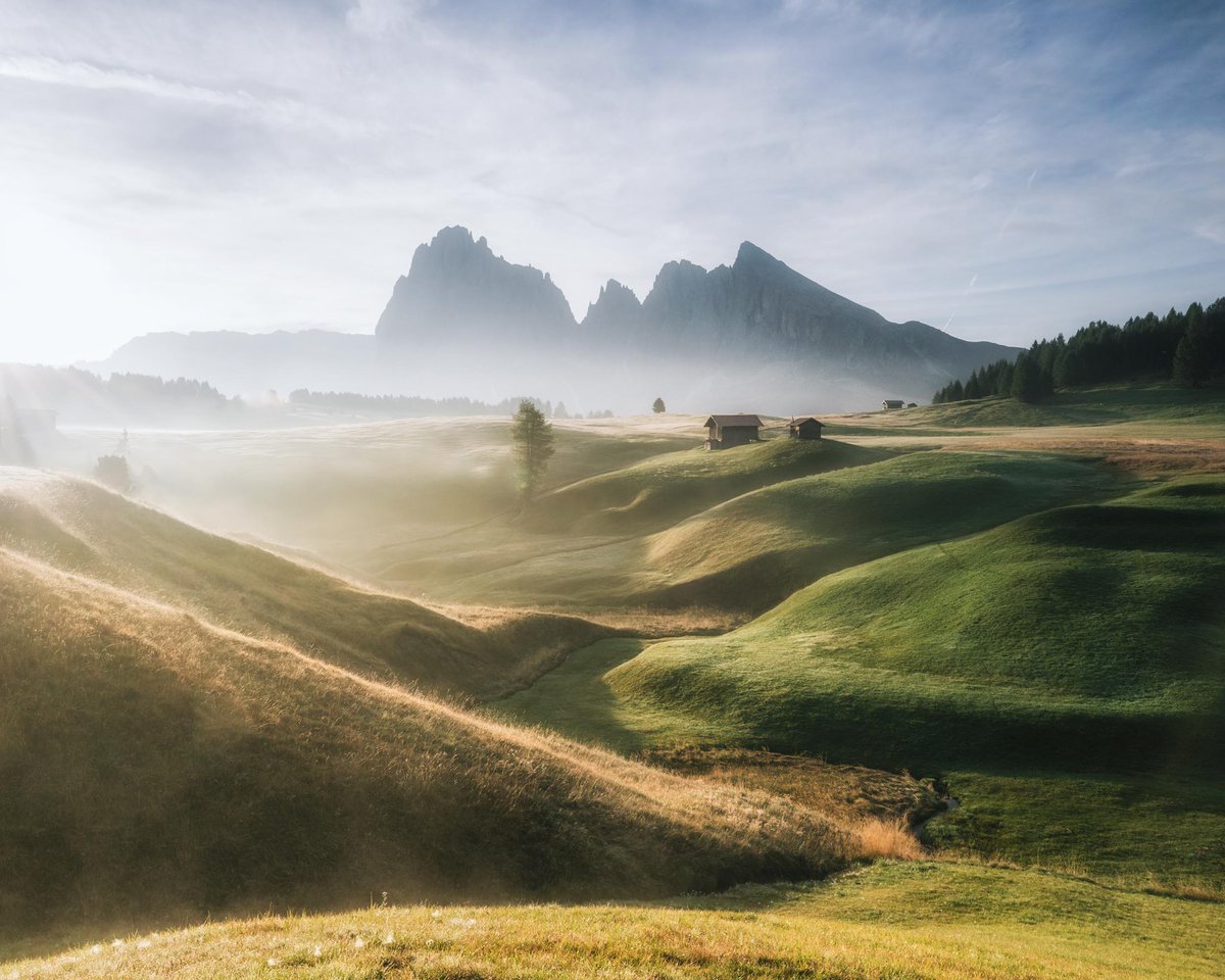 Rach Stewart tweet media