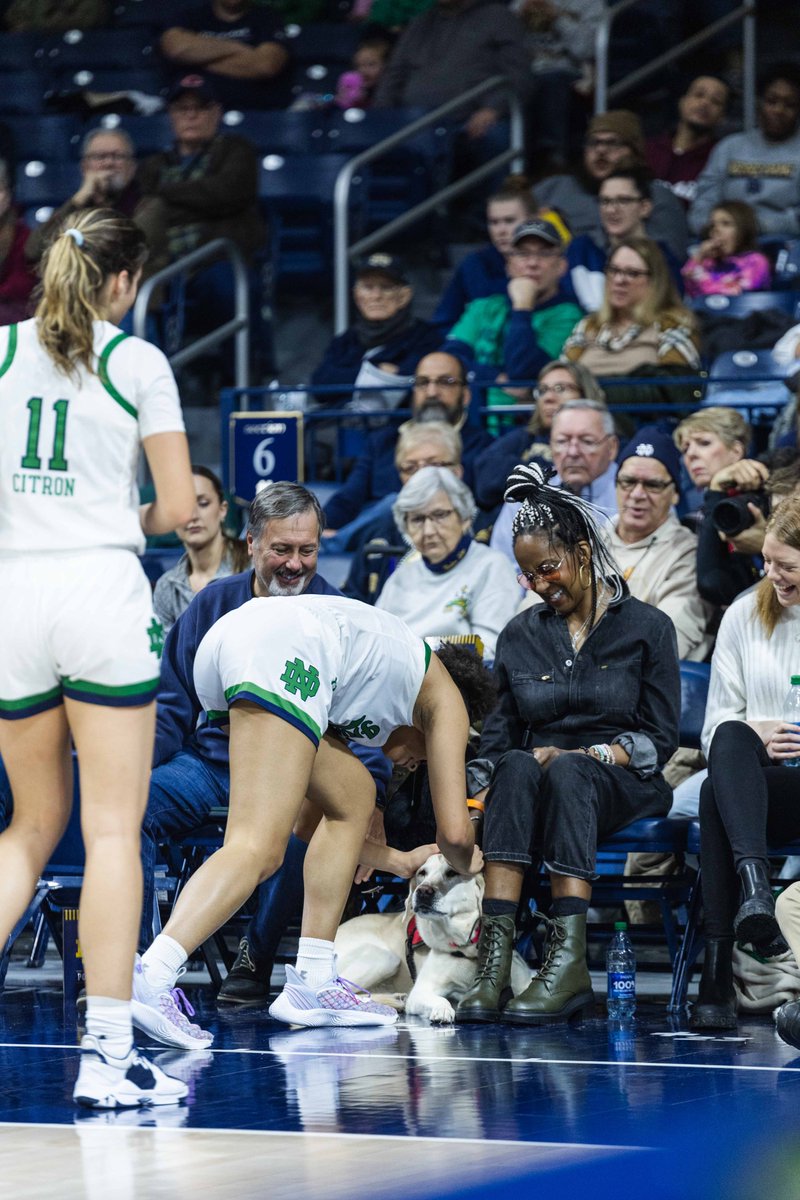 ndwbb's tweet photo. THE DOG IS OKAY!!!

#GoIrish☘️ // @oliviamiles06 https://t.co/W8dj8L7wXQ