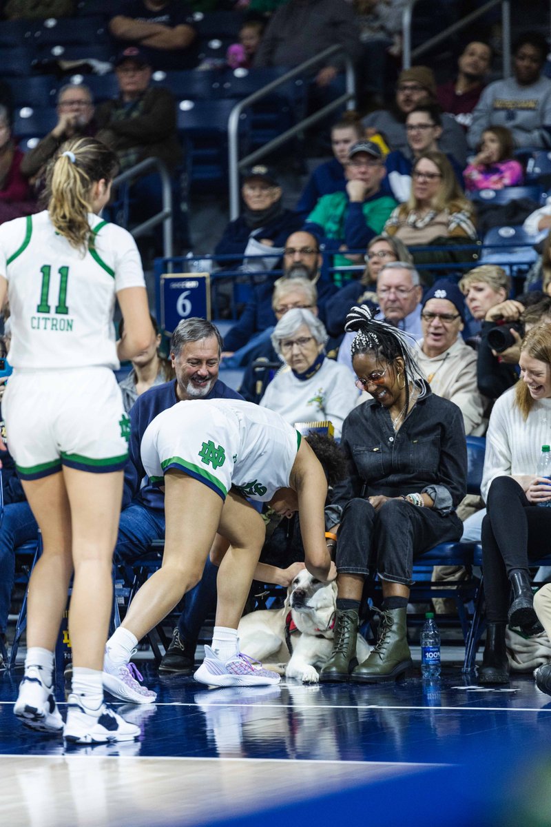 ndwbb's tweet photo. THE DOG IS OKAY!!!

#GoIrish☘️ // @oliviamiles06 https://t.co/W8dj8L7wXQ