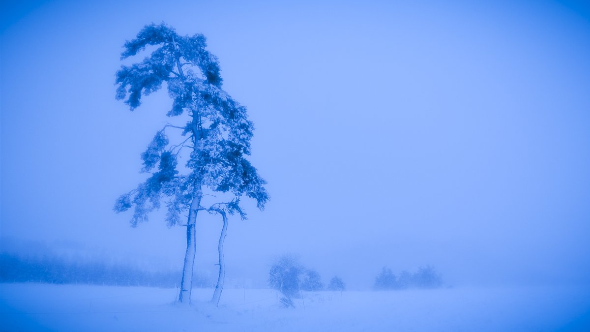 marcbphoto's tweet photo. 🥶 Ca "écire" en #planeze de #SaintFlour 
 @montagnestflour @lamontagne_15
  @SoCantalMag @cantalauvergne
@actucantalfr @LunionduCantal
 @DepecheLa @LaRuche43 https://t.co/edagxEg19G