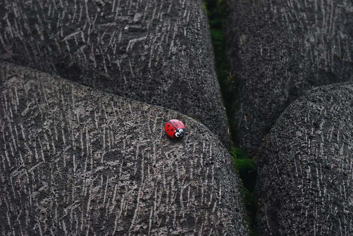 Bleichenblues tweet media