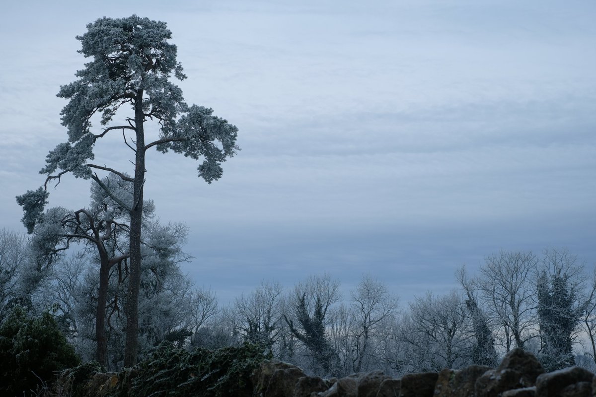 A frosty morning walk around home.

stories.gregannandale.com/a-frosty-morni… #toldwithexposure