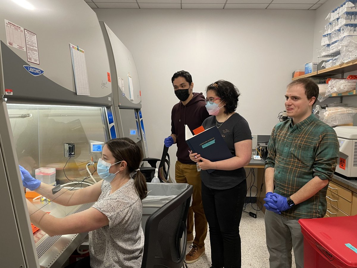 DrDespina123's tweet image. Thank you @Corning @VWR for an in-person #laboratory demonstration on #tissueculture and #aseptictechnique for new lab members. @WeillCornell #CancerResearch