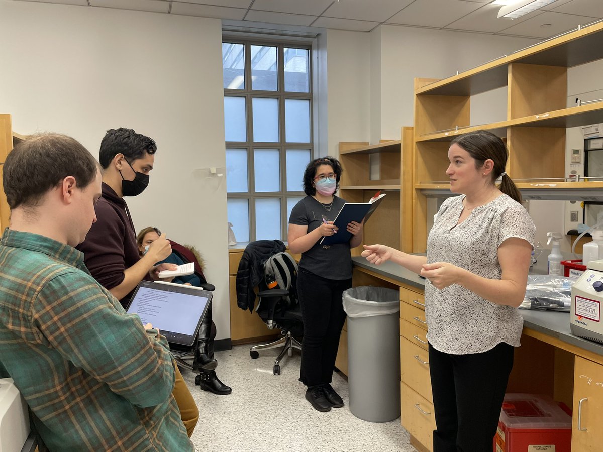 DrDespina123's tweet image. Thank you @Corning @VWR for an in-person #laboratory demonstration on #tissueculture and #aseptictechnique for new lab members. @WeillCornell #CancerResearch