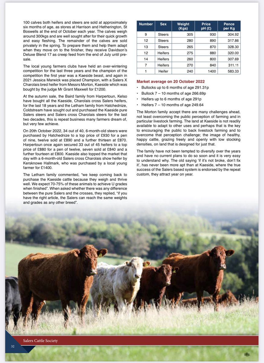 Andy Baird tweet media