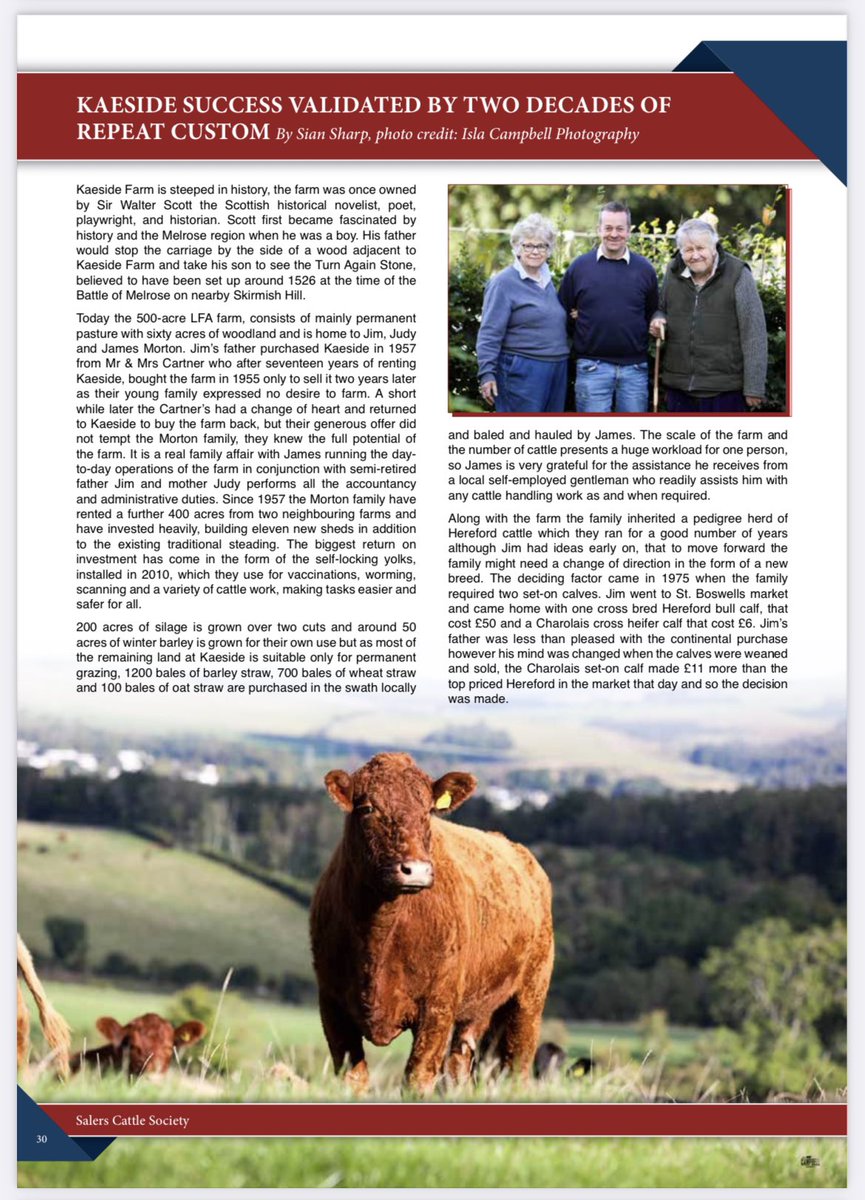 Andy Baird tweet media