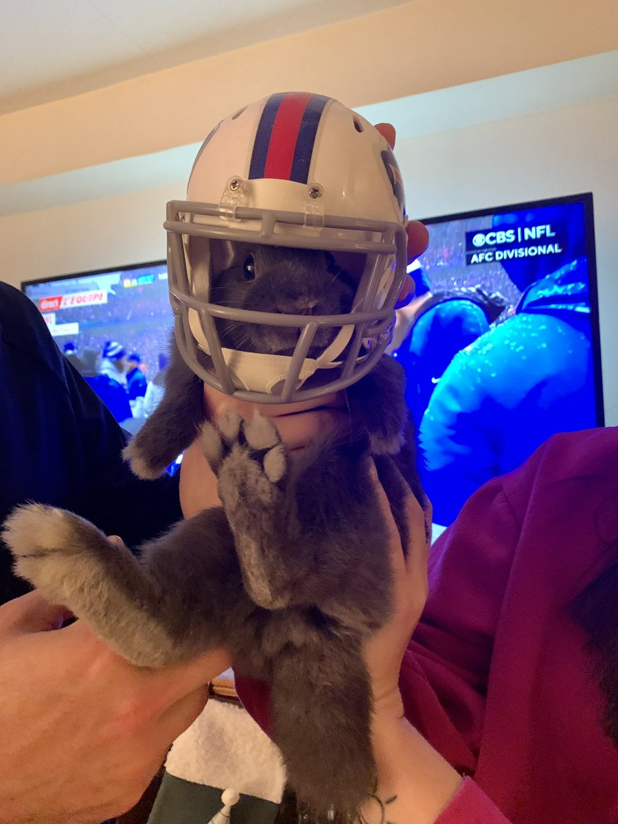 theeelminou's tweet image. Notre lapin Dali à fond devant le match ! Goooooo Bills 🤍💙 (aucun lapinou n’a été maltraité pour faire cette photo) #lequipeNFL