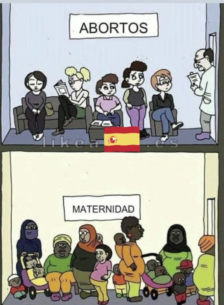 CafeVall4212's tweet photo. Con vuestras leyes y nuestros vientres os conquistaremos.
#VOXÚtil
#TeamVox
#levantan https://t.co/mv5SDd8uZQ