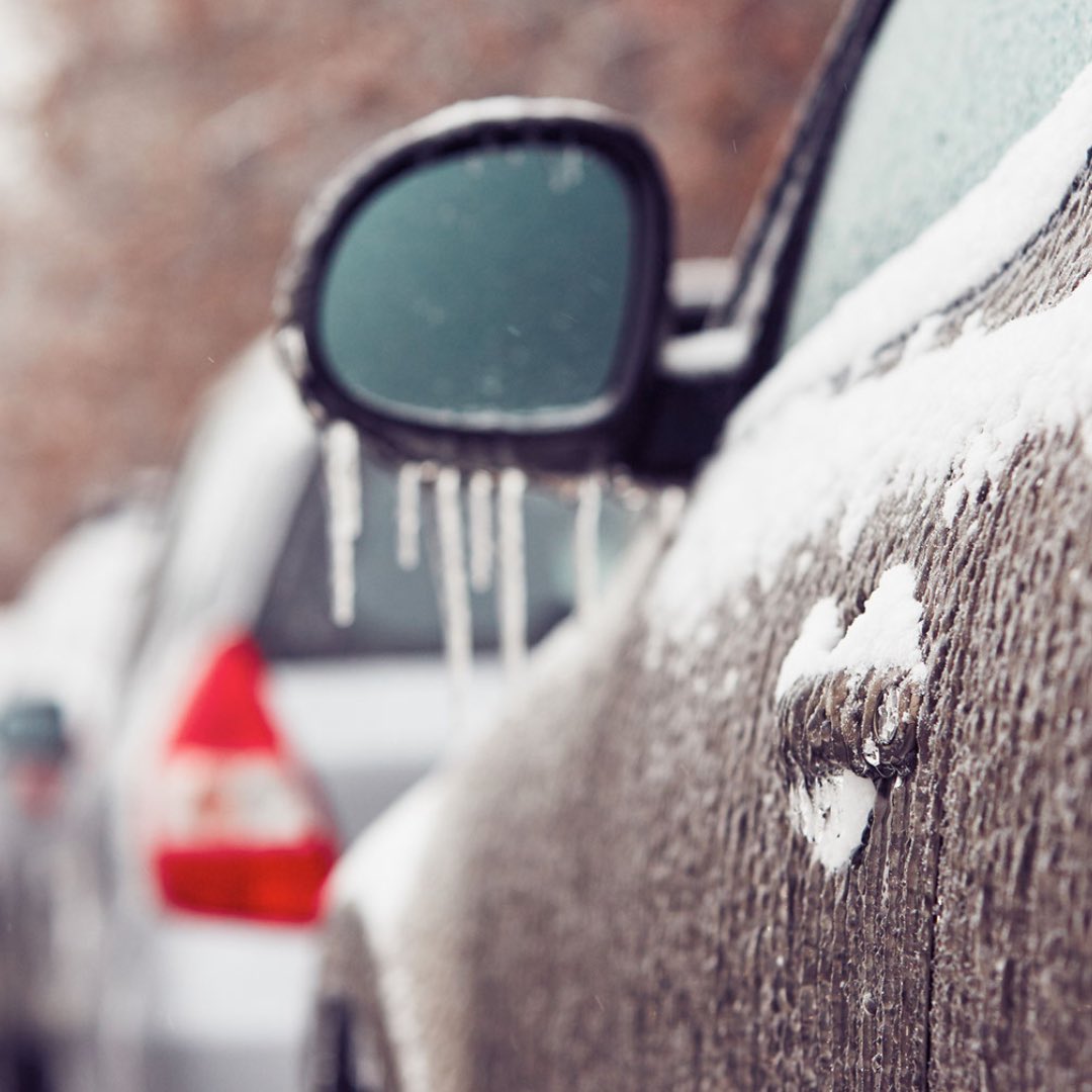 Maritime Bus tweet media