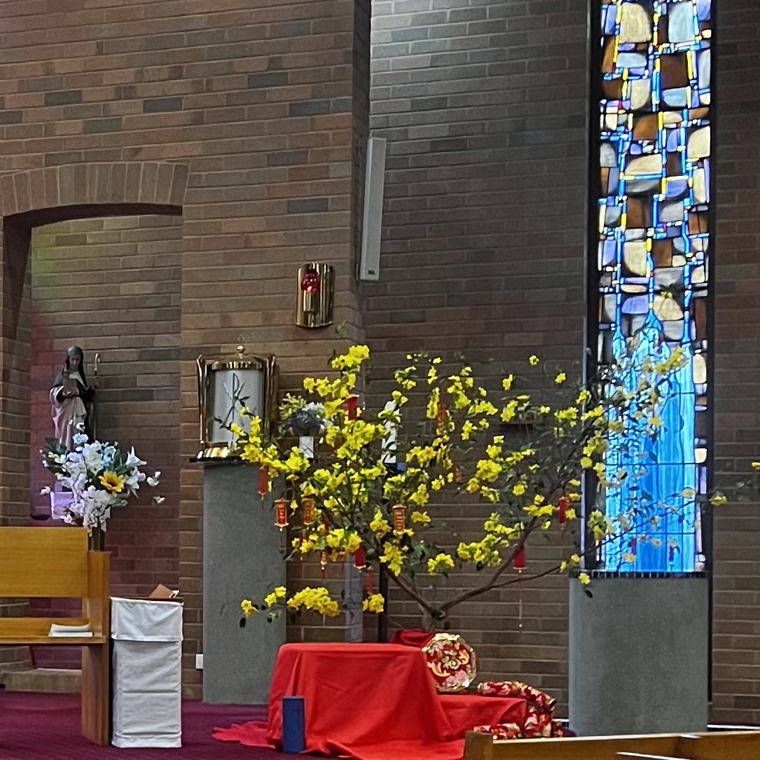 drsandykrishnan's tweet photo. Wishing everyone a Happy and Peaceful Year of the Water Rabbit!! This photo was taken at mass on Sunday, there was a lovely acknowledgment of the significance of the Chinese New Year weekend. ‘Gong Xi Fa Cai!’ https://t.co/9E6CJkg5xN