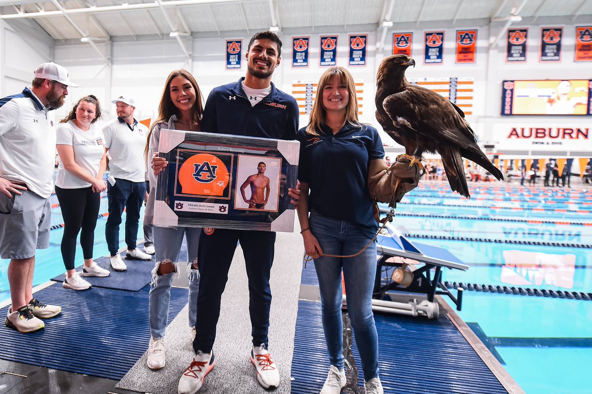 Auburn Swim & Dive on Twitter