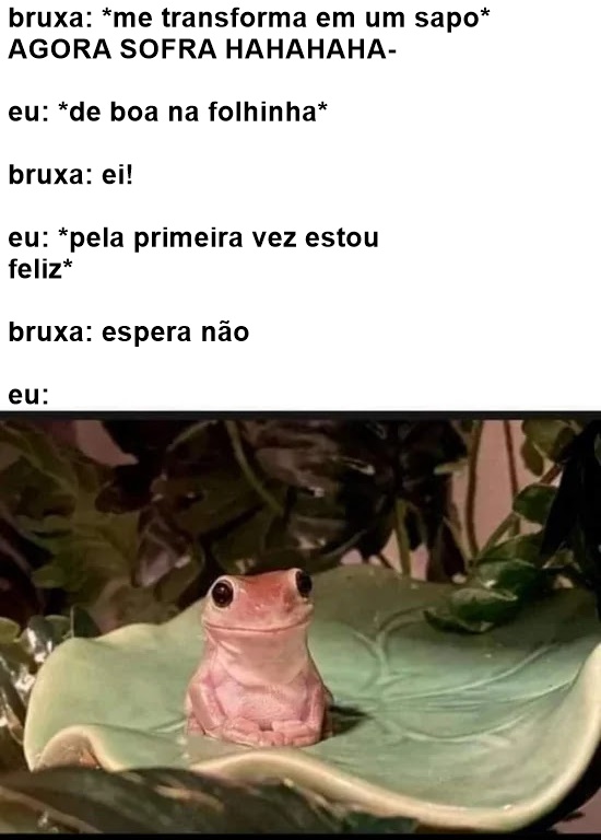 BlogOvelhas's tweet image. de boa na lagoa