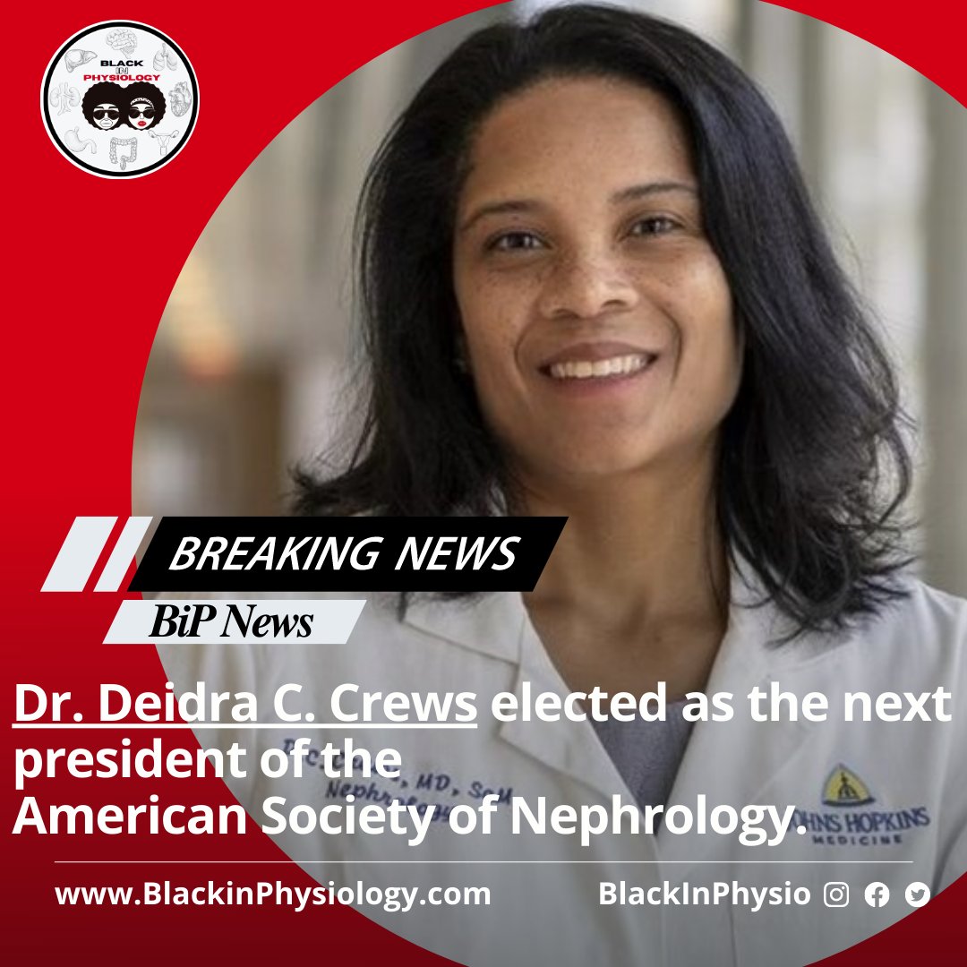 BlackInPhysio's tweet photo. Congratulations Dr. Deidra C. Crews, MD, MS, FASN, (@DrDeidraCrews) selected as the next president of the American Society of Nephrology (@ASNKidney).

Join us in congratulating Dr. Crews on this amazing accomplishment!

#BiPNews 
#BlackinPhysio https://t.co/Ldxv9J8pb3