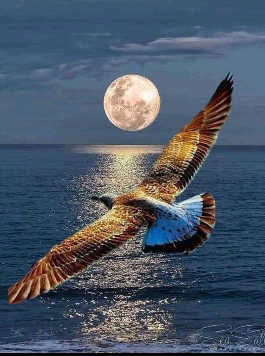 اللهم إن الأمر امرك والخلق خلقك والقضاء قضاؤك اللهم انى وكلتك وفوضت امرى اليك