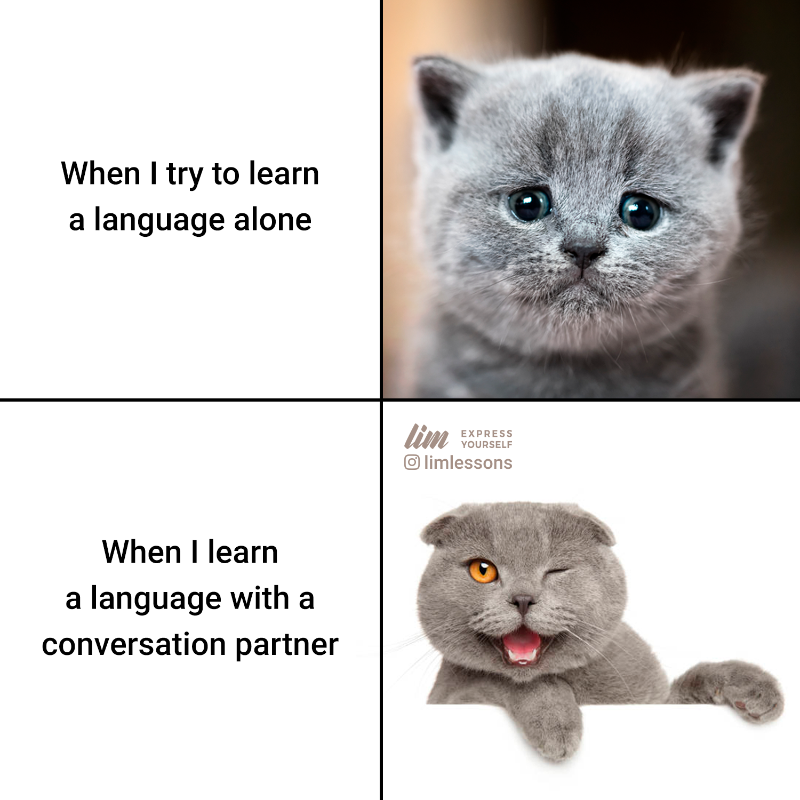 limlessons's tweet photo. ➡ Meet your conversation partner today!
Schedule a free Exchange Lesson at https://t.co/b3K3Z5l971! 🙂
➡ Double tap to show your support 💙
#learningtogether #languages
#languagesstudy #englishpartner #languagepartner https://t.co/pJ6TjZruX9